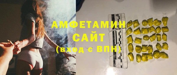 прущие грибы Балахна
