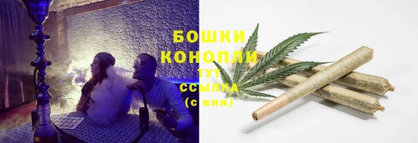прущие грибы Балахна