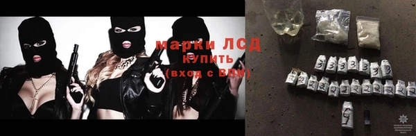 прущие грибы Балахна