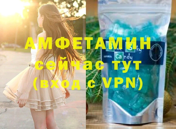 прущие грибы Балахна