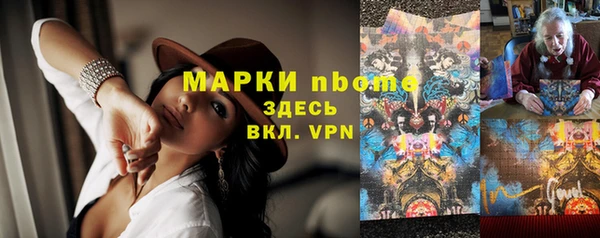 прущие грибы Балахна