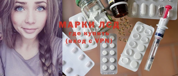 прущие грибы Балахна