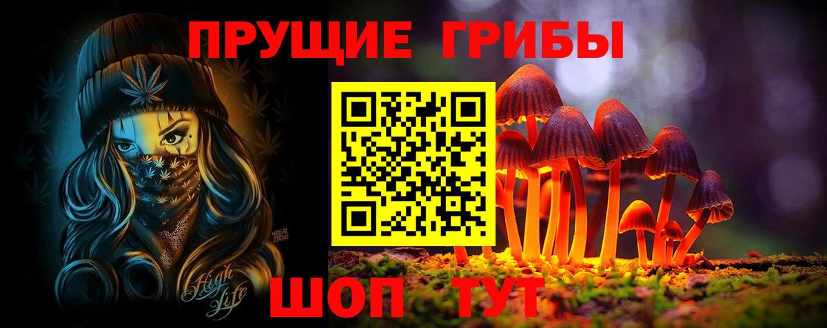 закладка  Вход с VPN  Кушва  Псилоцибиновые грибы MAGIC MUSHROOMS 